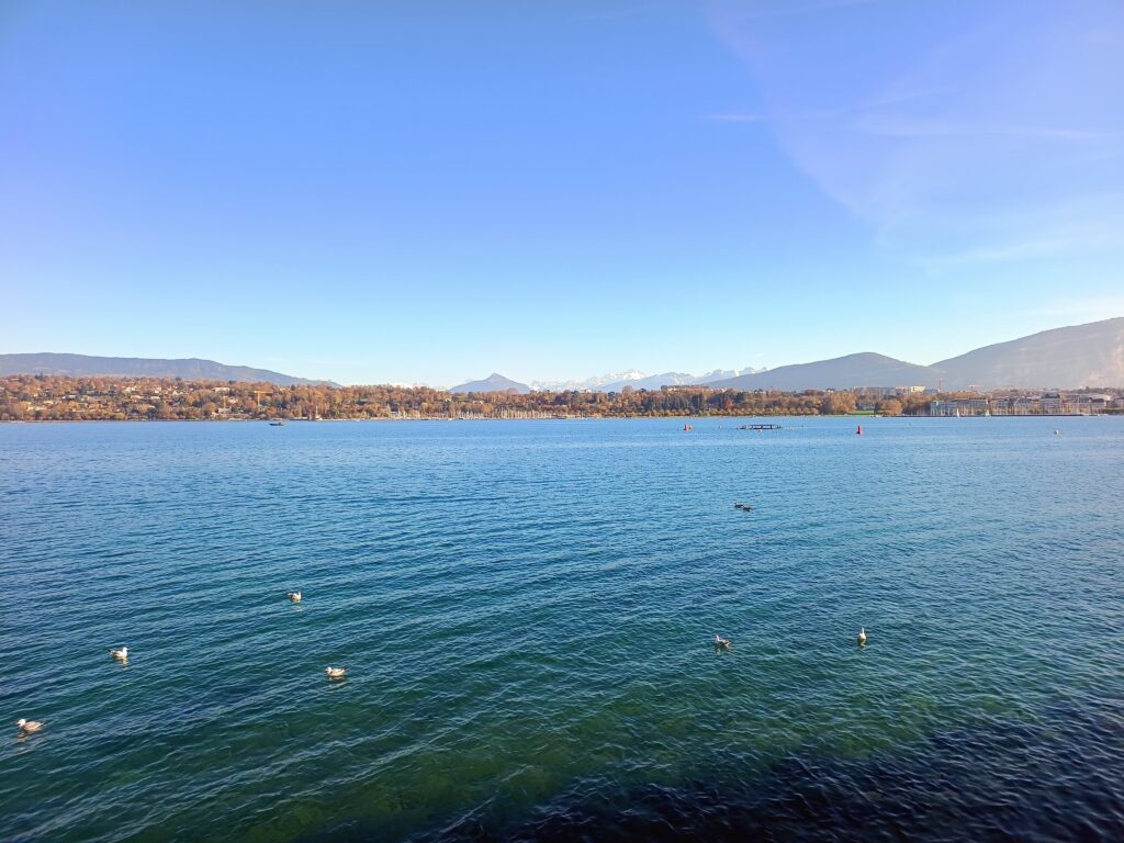 Geneva - November 2025