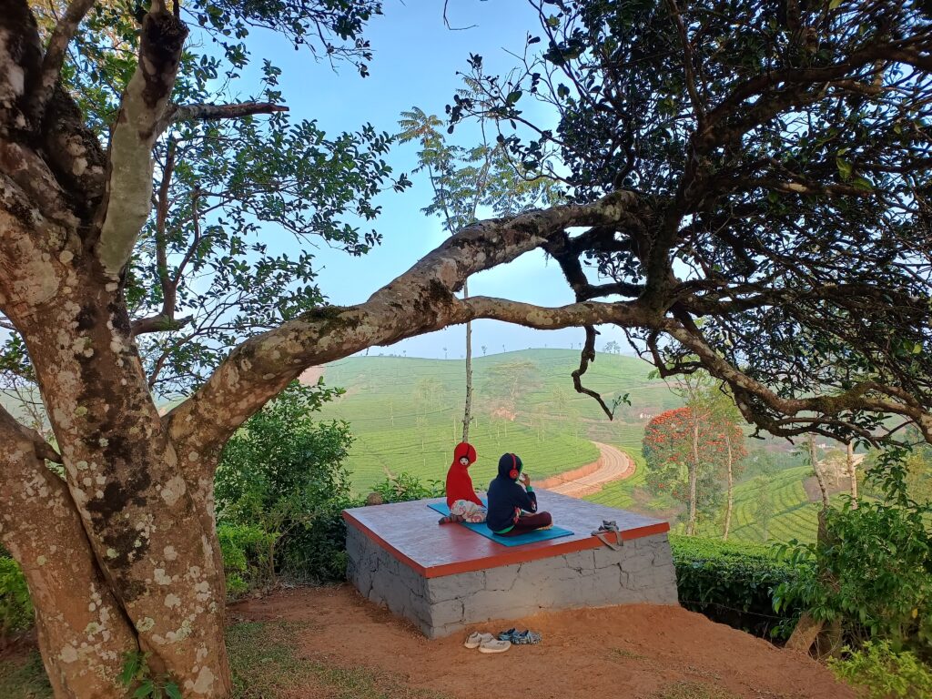 Two kids sitting and discussing under a tree in the middle of a tea garden